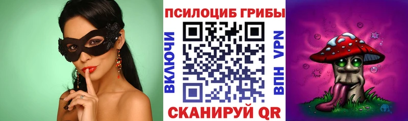 Псилоцибиновые грибы Cubensis  где продают наркотики  Плёс 
